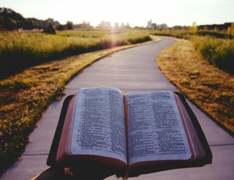 open Bible